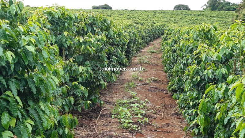 Fazenda venda CENTRAL TURVOLANDIA Fazenda venda CENTRAL TURVOLANDIA