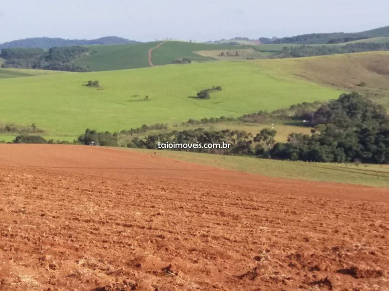 Fazenda venda REGIAO POÇO FUNDO Fazenda venda REGIAO POÇO FUNDO