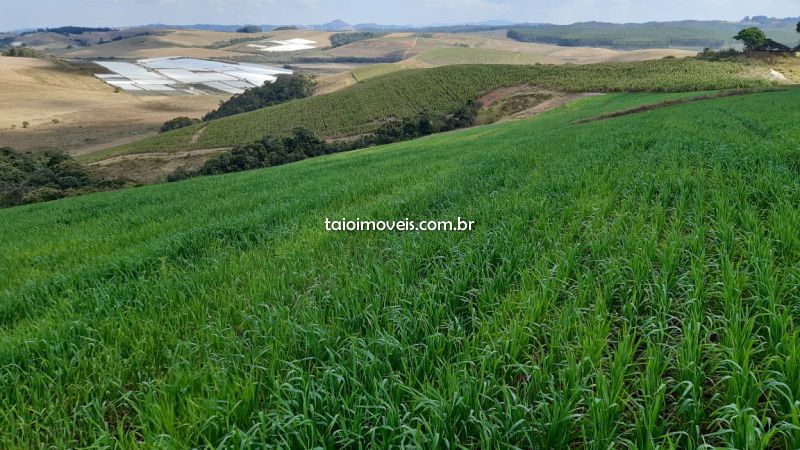 Fazenda venda CENTRAL TURVOLANDIA Fazenda venda CENTRAL TURVOLANDIA