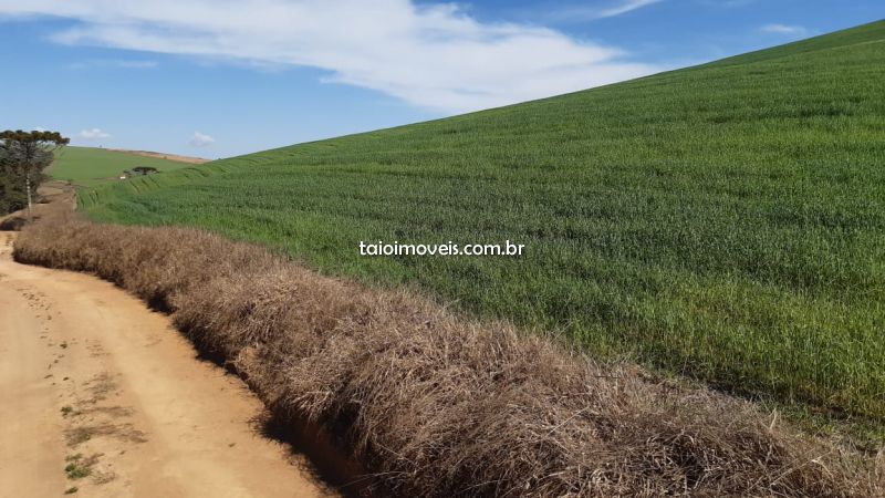 Fazenda venda REGIAO TURVOLANDIA Fazenda venda REGIAO TURVOLANDIA
