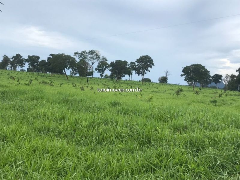 Fazenda venda Pontal Pontal do Araguaia Fazenda venda Pontal Pontal do Araguaia