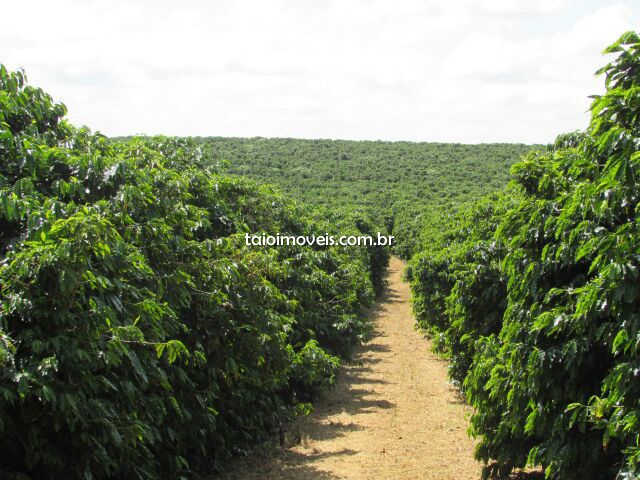 Fazenda venda centro São Tiago Fazenda venda centro São Tiago