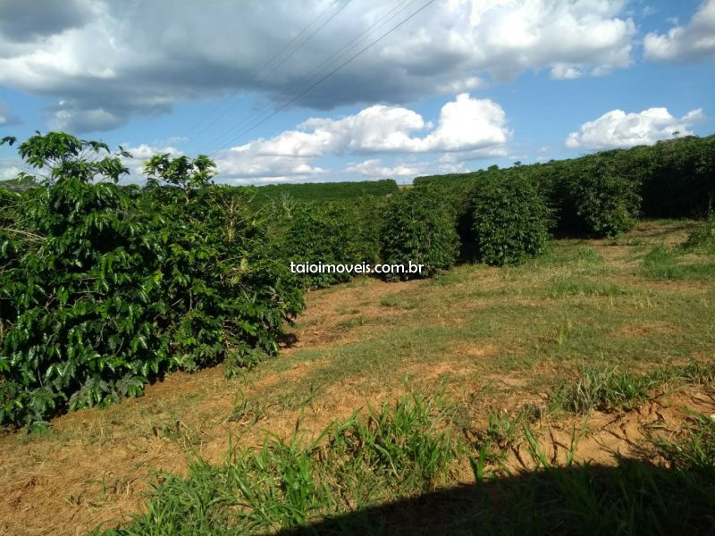 Fazenda venda REGIAO São Sebastião do Paraíso Fazenda venda REGIAO São Sebastião do Paraíso