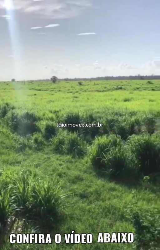 Fazenda venda Região Centro Novo do Maranhão - Referência TI165
