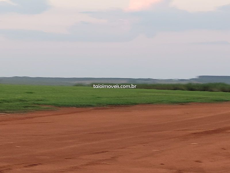 Fazenda venda REGIÃO DE ABAETE ABAETE Fazenda venda REGIÃO DE ABAETE ABAETE