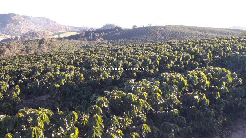 Fazenda venda CENTRO São Gonçalo do Sapucaí Fazenda venda CENTRO São Gonçalo do Sapucaí