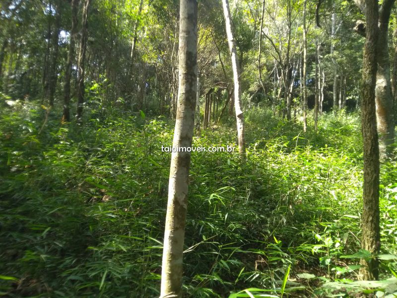 Terreno venda samambaia Mairiporã Terreno venda samambaia Mairiporã