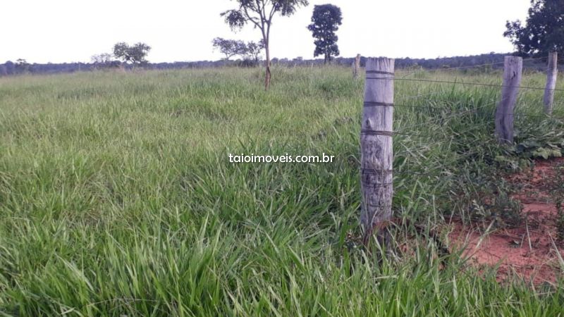 Fazenda venda centro Barra do Garça Fazenda venda centro Barra do Garça
