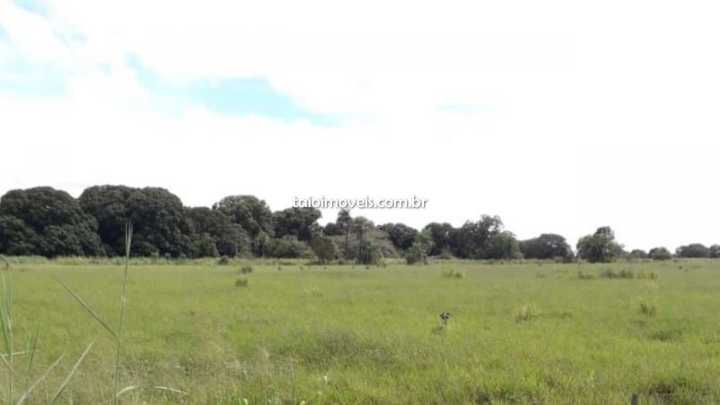 Santa Terezinha Fazenda venda SANTA TEREZINHA