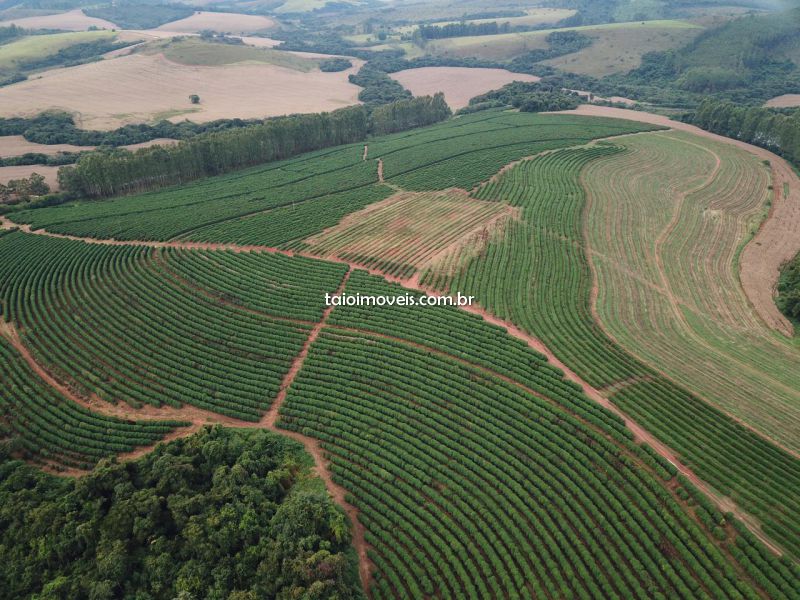 Fazenda venda centro São Tiago Fazenda venda centro São Tiago