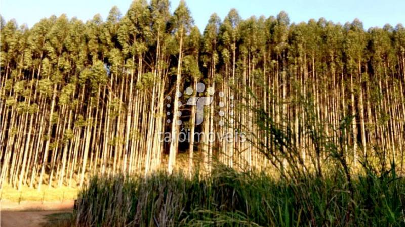 Fazenda à venda REGIÃO - 999-143942-1.jpeg