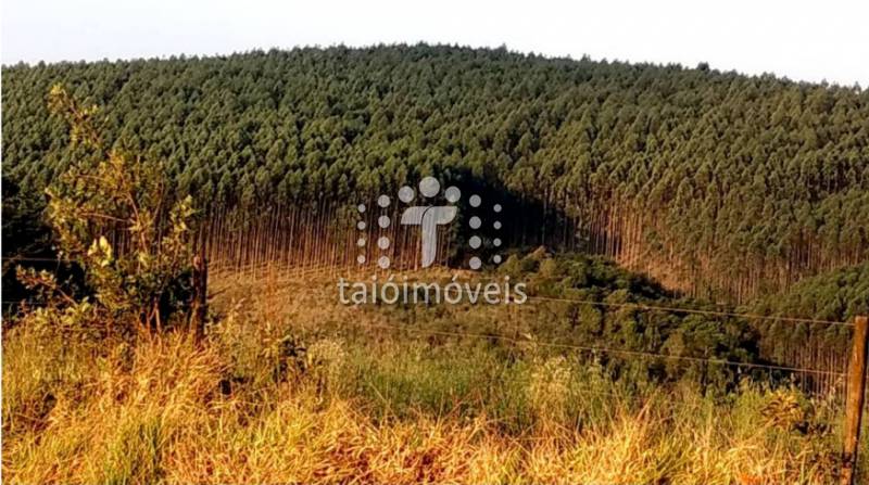 Fazenda à venda REGIÃO - 999-143943-3.jpeg