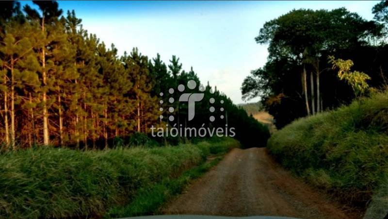 Fazenda à venda REGIÃO - 999-143943-4.jpeg