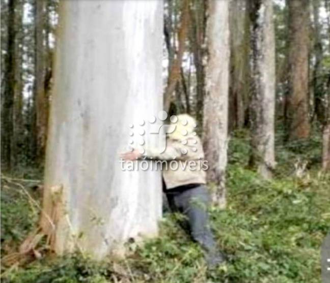 Fazenda à venda REGIÃO - 999-143943-5.jpeg