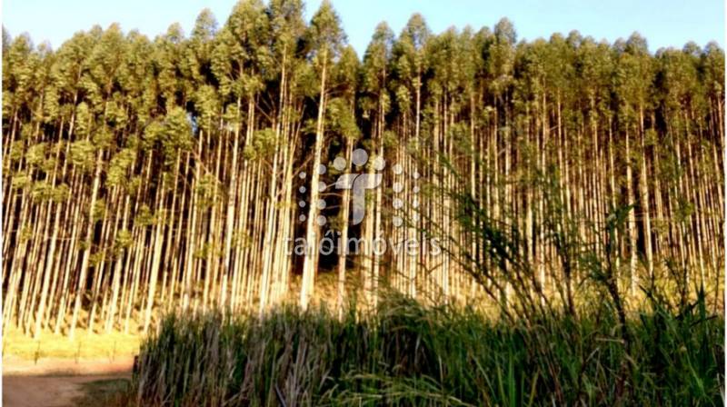 Fazenda à venda REGIÃO - 999-143943-6.jpeg