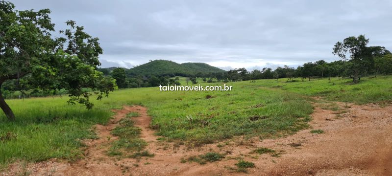 Fazenda venda REGIÃO Cordisburgo - Referência TI270