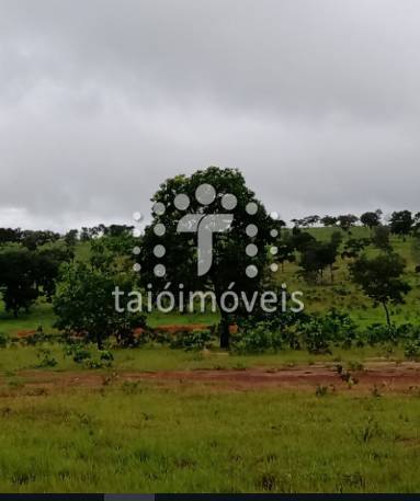 Fazenda à venda na REGIÃOREGIÃO - 999-133843-2.jpeg