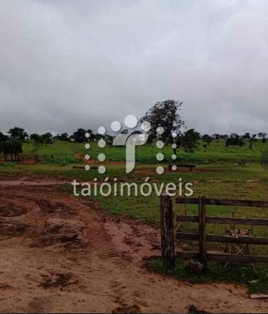 Fazenda à venda na REGIÃOREGIÃO - 999-133844-5.jpeg