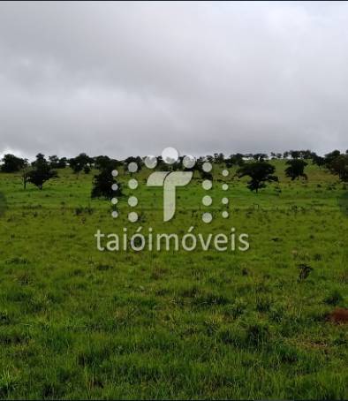 Fazenda à venda na REGIÃOREGIÃO - 999-133844-6.jpeg