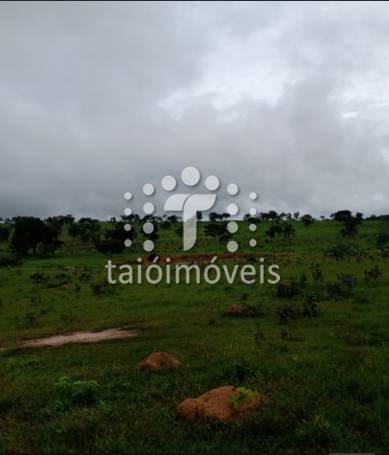 Fazenda à venda na REGIÃOREGIÃO - 999-133844-7.jpeg