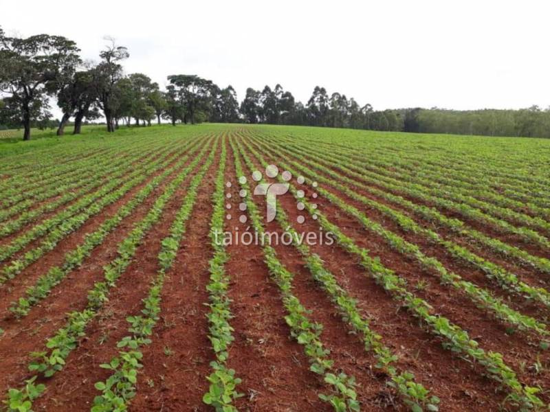 Fazenda venda REGIÃO Guapé - Referência TI390