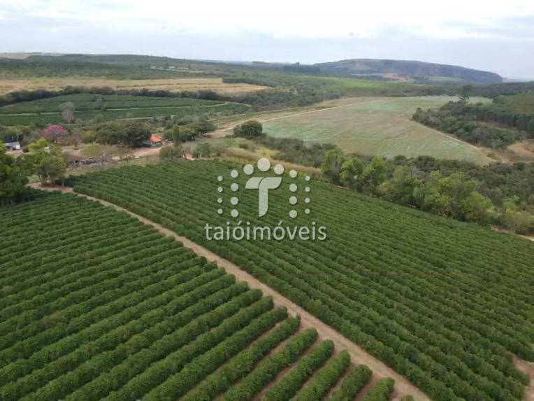Fazenda venda REGIÃO DE MONTE SANTO - Referência TI412