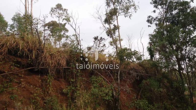 Terreno à venda na CENTRALREGIAO - 105732-4.jpg