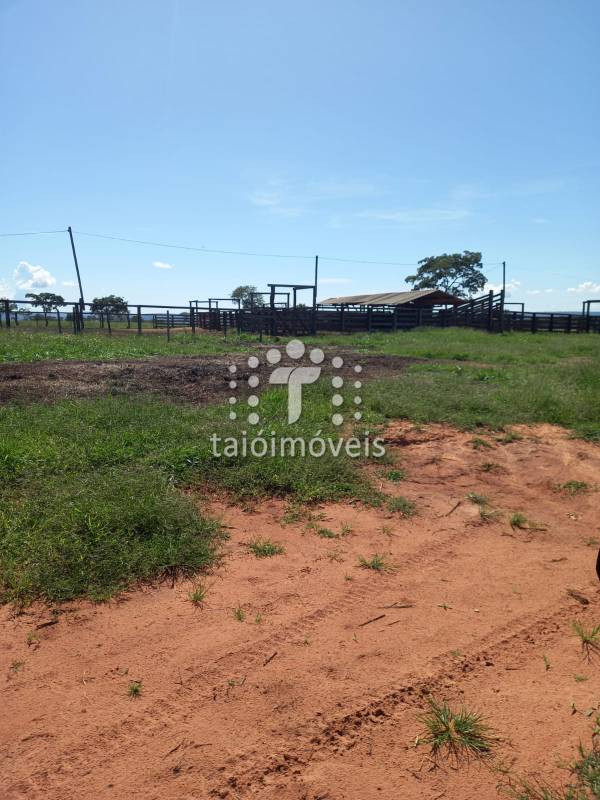 Fazenda à venda na BAIRROREGIÃO - 155722-5.jpg