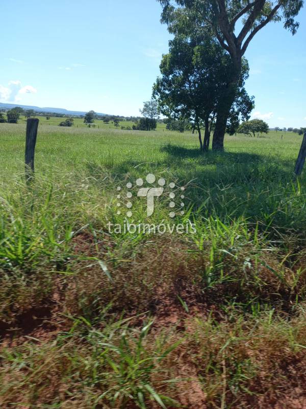 Fazenda à venda na BAIRROREGIÃO - 155723-10.jpg