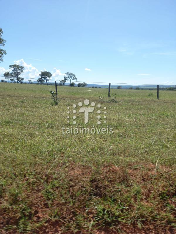 Fazenda à venda na BAIRROREGIÃO - 155723-11.jpg