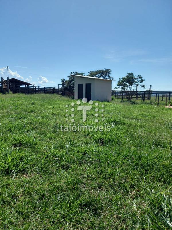 Fazenda à venda na BAIRROREGIÃO - 155723-12.jpg