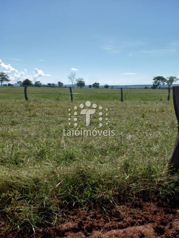 Fazenda à venda na BAIRROREGIÃO - 155723-9.jpg