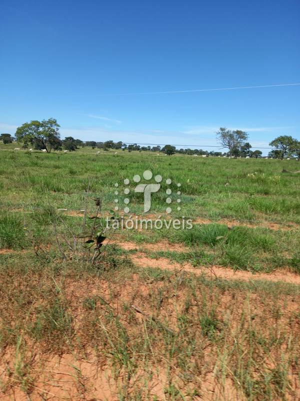 Fazenda à venda na BAIRROREGIÃO - 155724-13.jpg