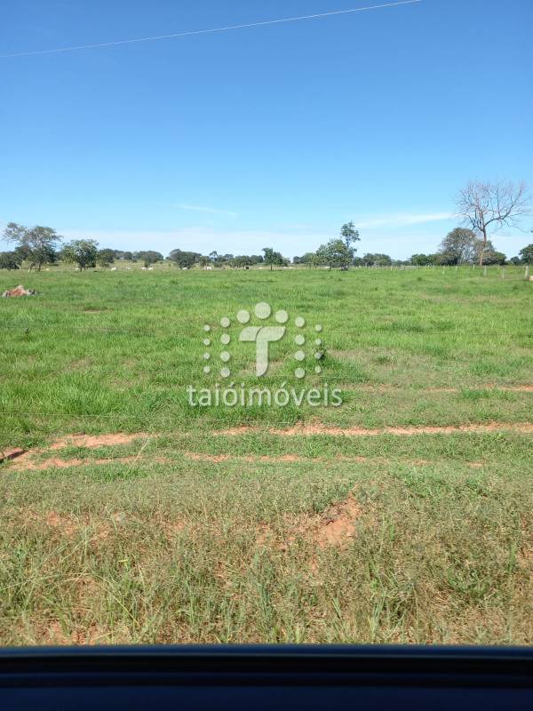 Fazenda à venda na BAIRROREGIÃO - 155724-14.jpg