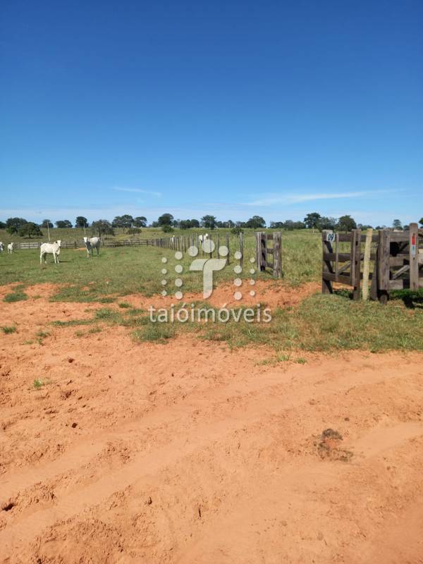 Fazenda à venda na BAIRROREGIÃO - 999-155759-0.jpg