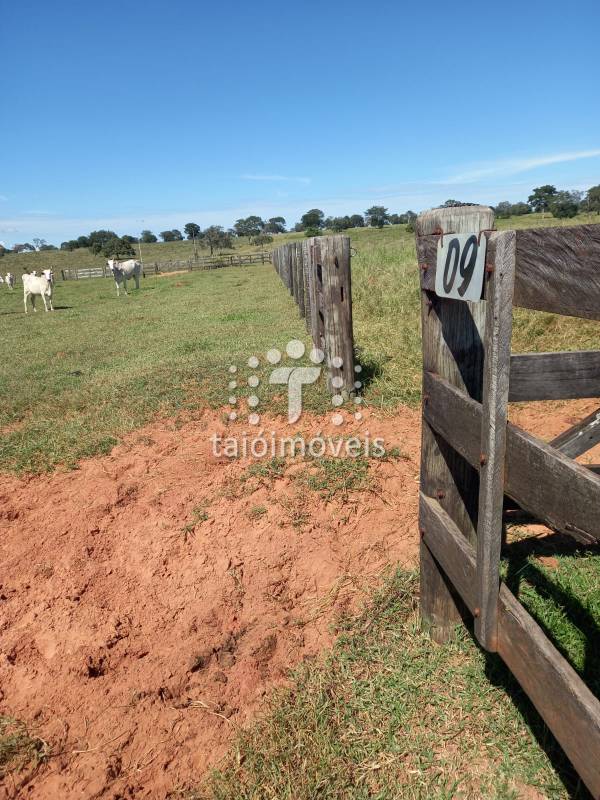 Fazenda à venda na BAIRROREGIÃO - 999-155800-1.jpg