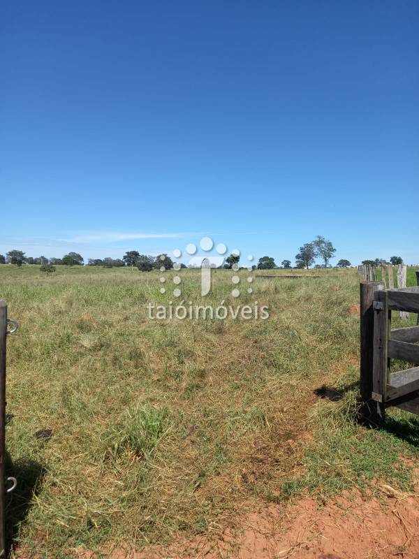 Fazenda à venda na BAIRROREGIÃO - 999-155800-2.jpg