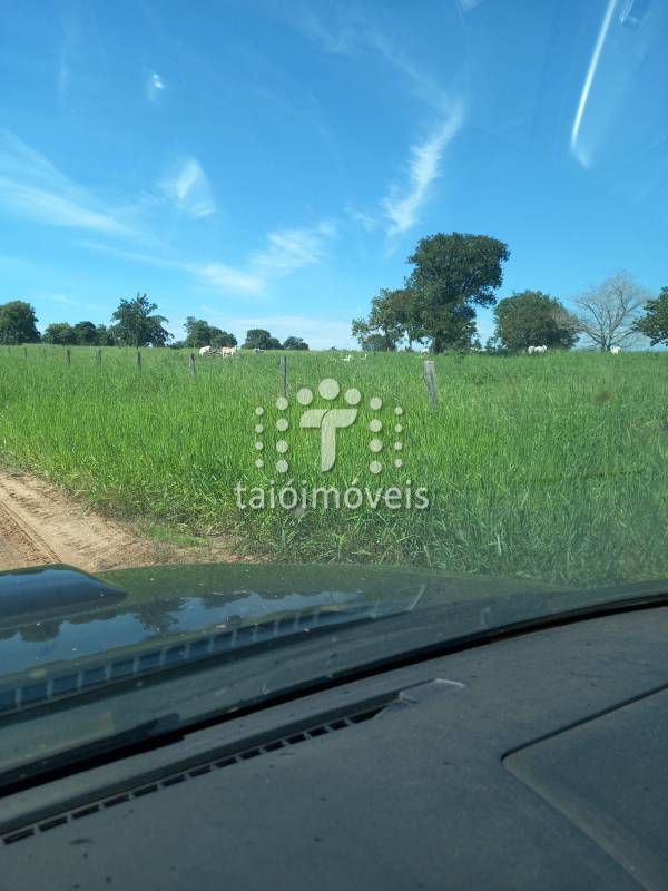 Fazenda à venda na BAIRROREGIÃO - 999-155800-3.jpg