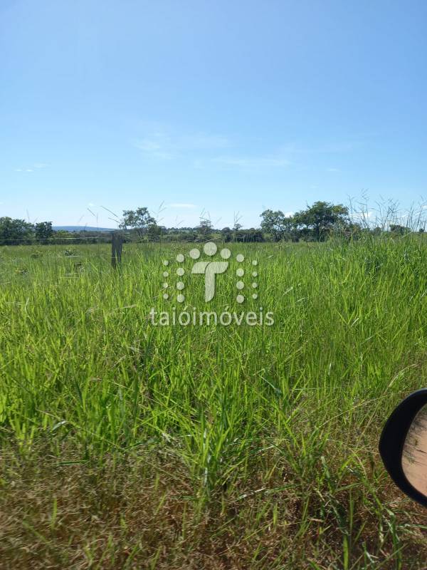 Fazenda à venda na BAIRROREGIÃO - 999-155800-4.jpg