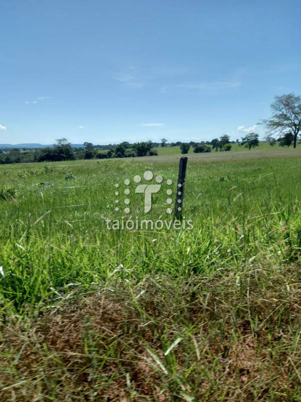 Fazenda à venda na BAIRROREGIÃO - 999-155800-5.jpg