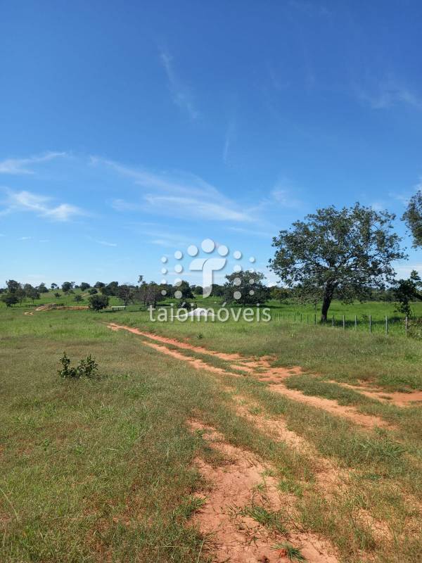 Fazenda à venda na BAIRROREGIÃO - 999-155800-6.jpg