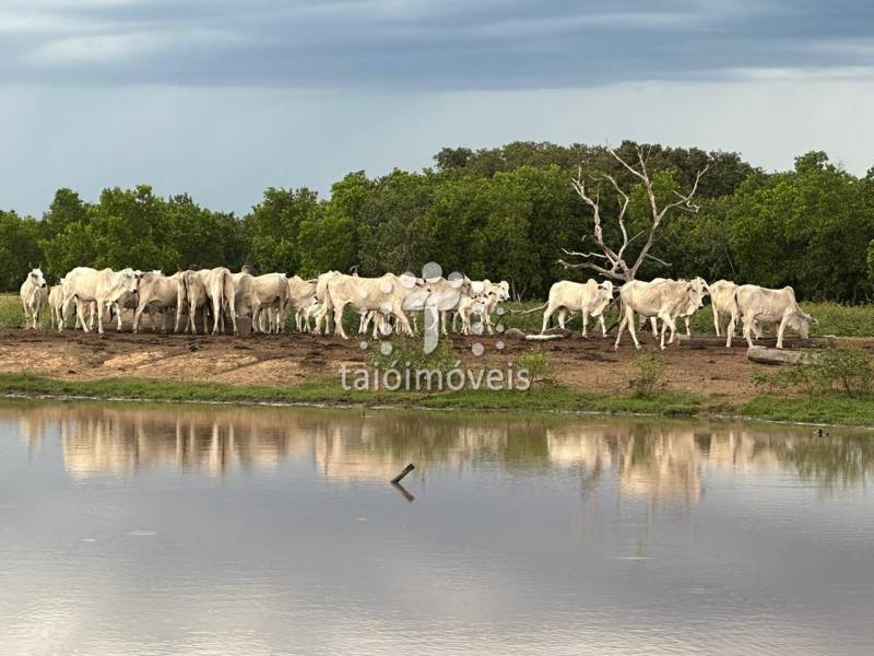 Fazenda Código TI591