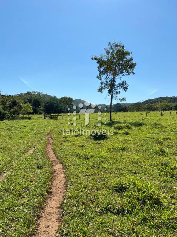 Fazenda à venda na BAIRROREGIÃO - 130644-0.jpg