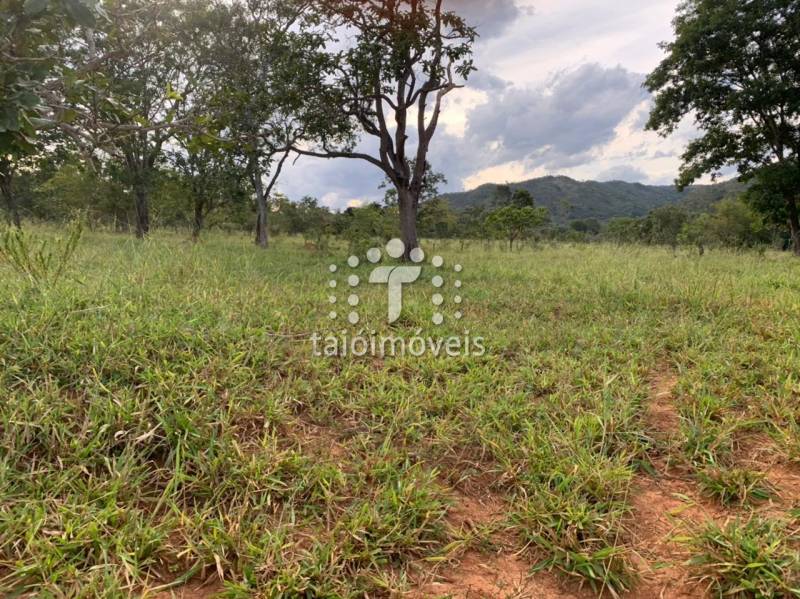 Fazenda à venda na BAIRROREGIÃO - 130644-2.jpg