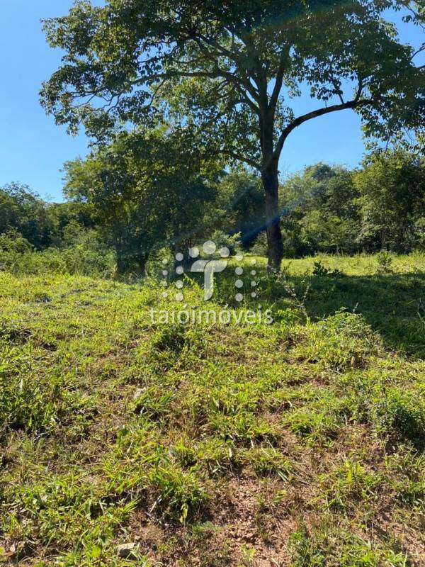 Fazenda à venda na BAIRROREGIÃO - 130644-8.jpg