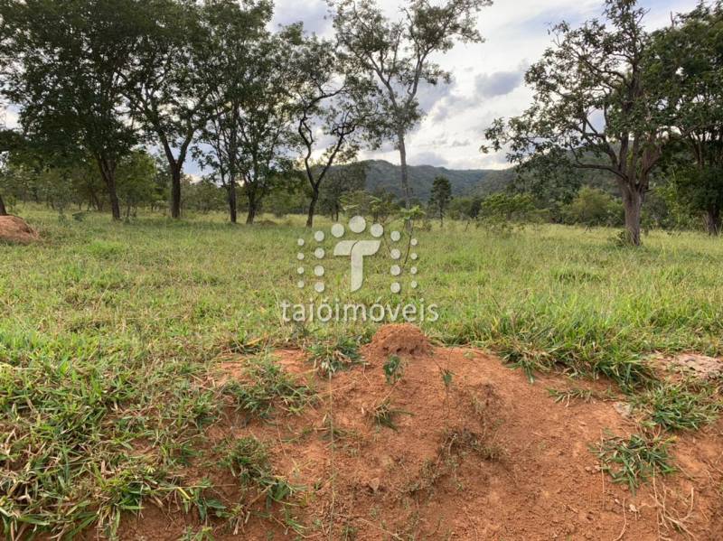 Fazenda à venda na BAIRROREGIÃO - 130645-12.jpg