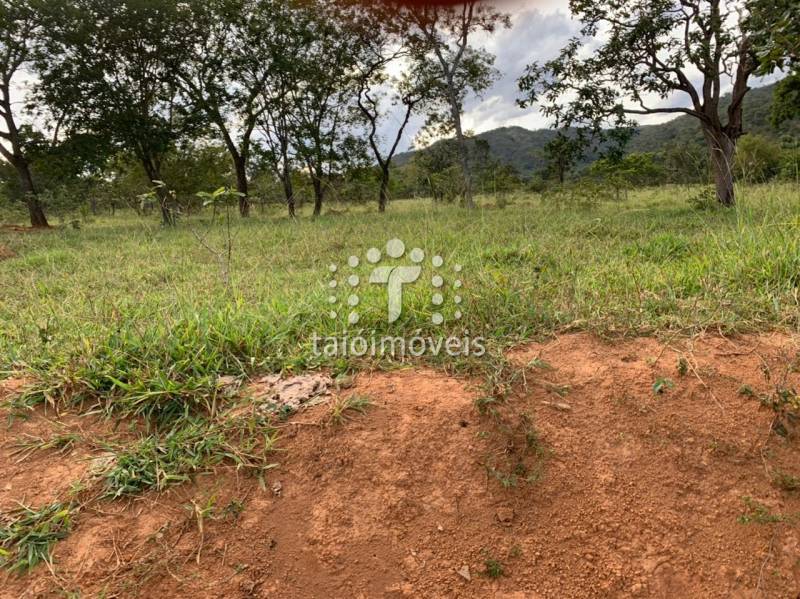 Fazenda à venda na BAIRROREGIÃO - 130645-13.jpg