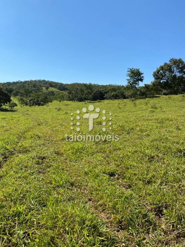 Fazenda à venda na BAIRROREGIÃO - 999-130716-4.jpg