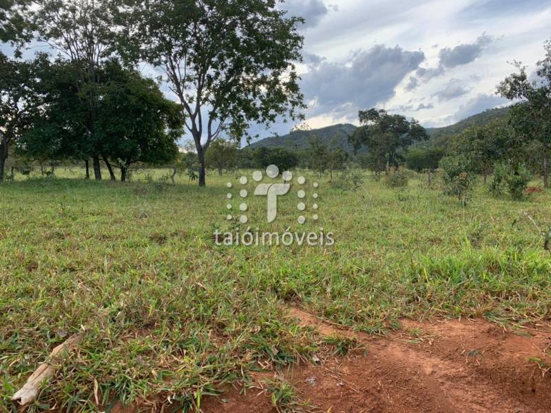 Fazenda à venda na BAIRROREGIÃO - 999-130717-5.jpg