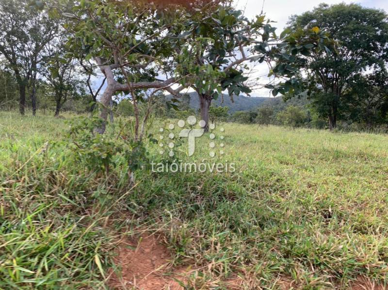 Fazenda à venda na BAIRROREGIÃO - 999-130717-6.jpg